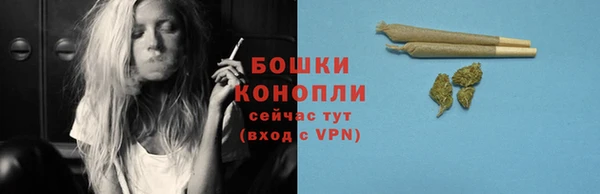 ешки Аркадак